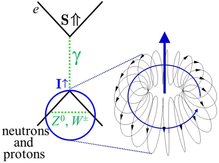 Feynman Diagram showing how the anapole moment arises